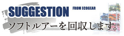 SUGEESTION ソフトルアーを回収します。